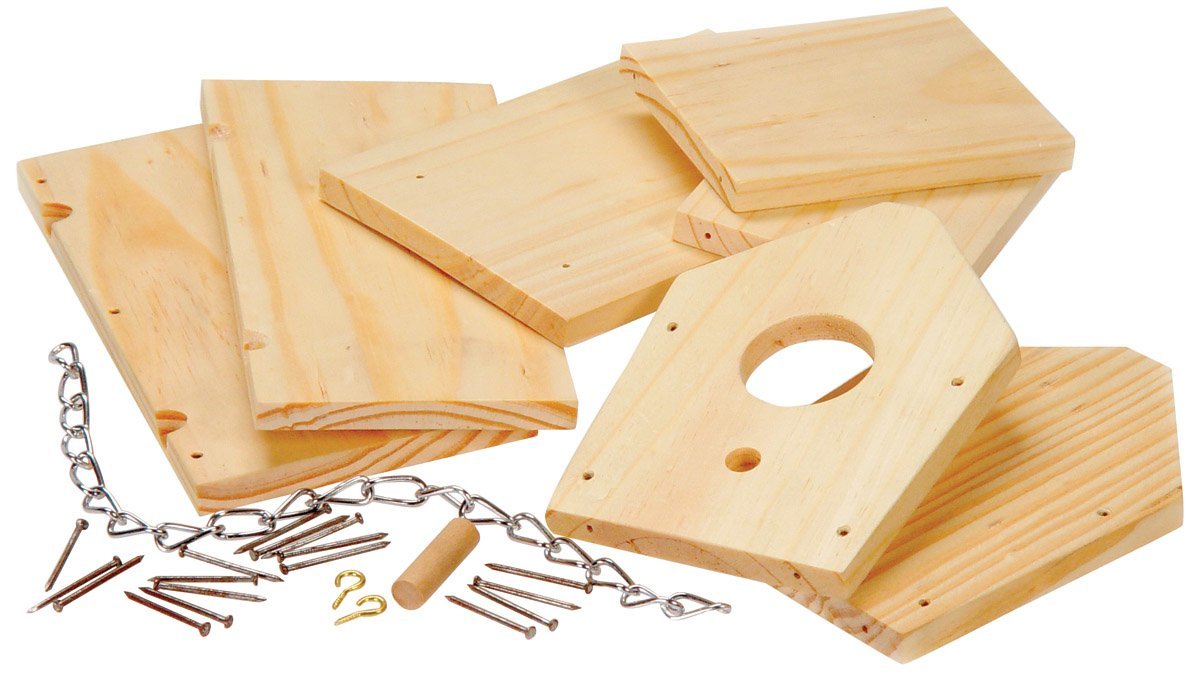 Bird house building kit for adults