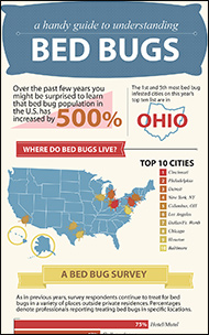 guide to understanding bed bugs